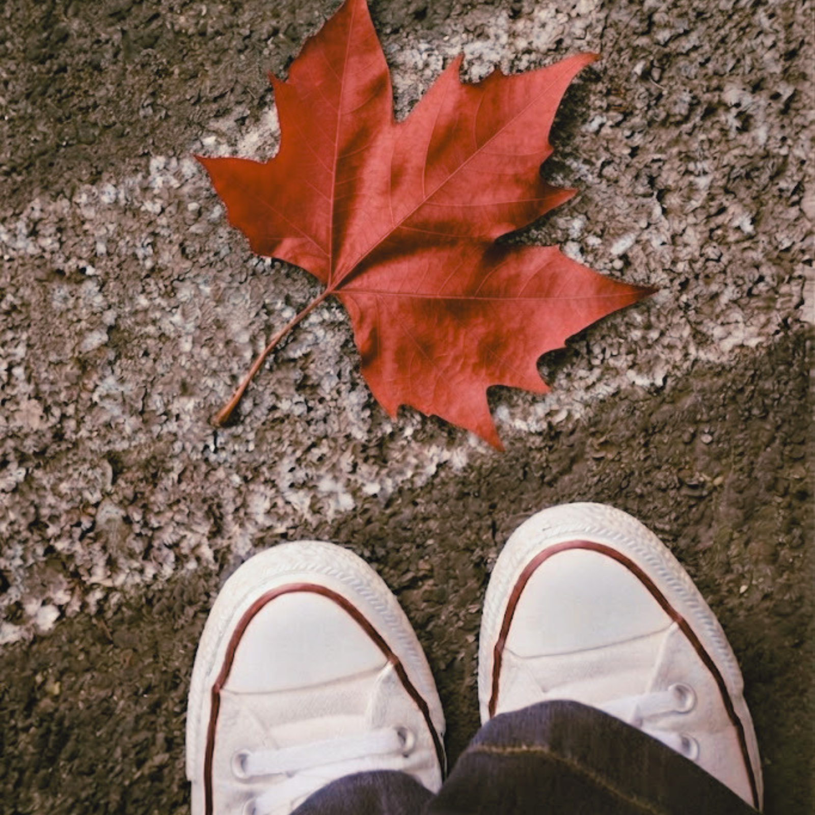 chi sono