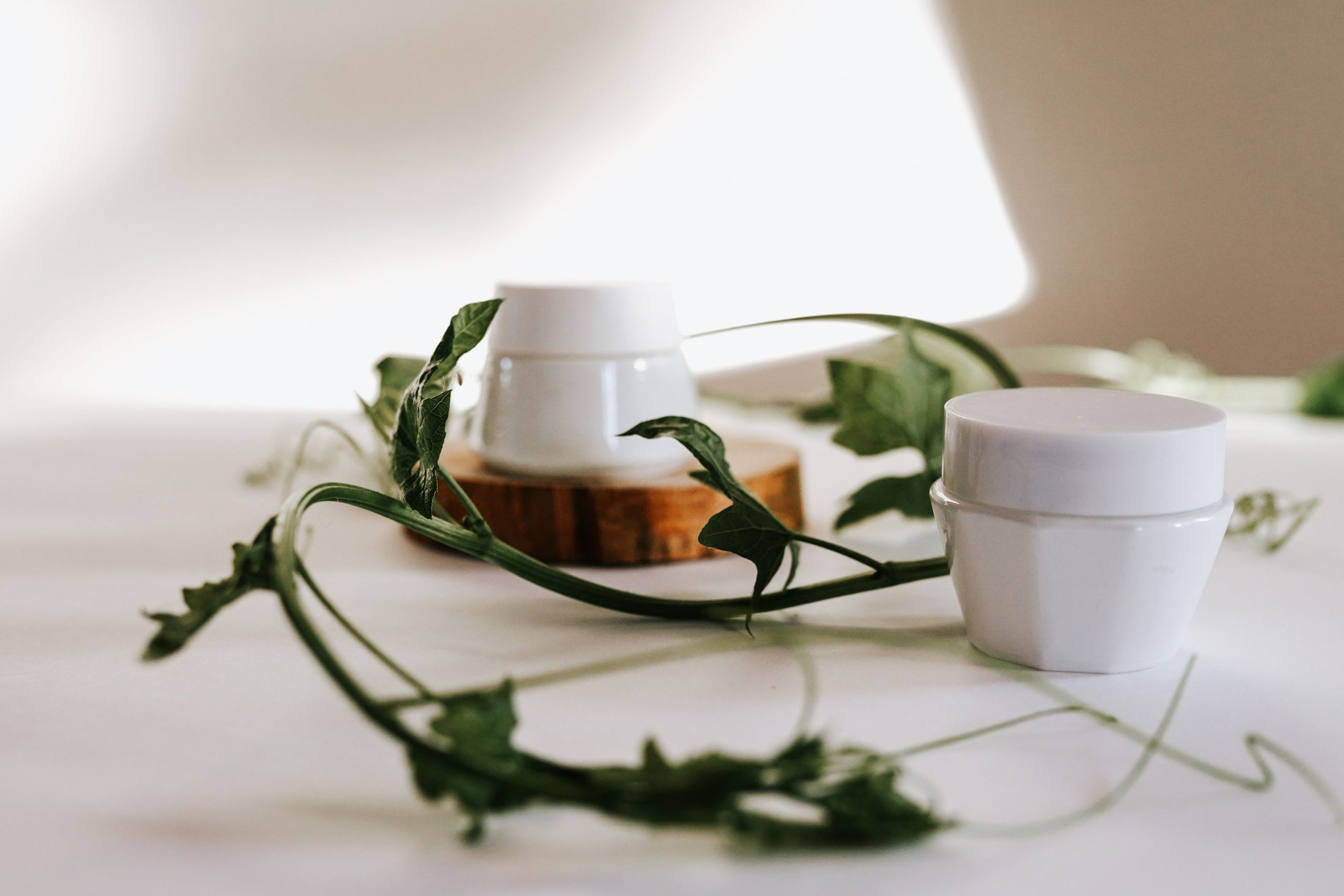 Trend fitocosmetici 2027: quali materie prime inserire nei prossimi prodotti